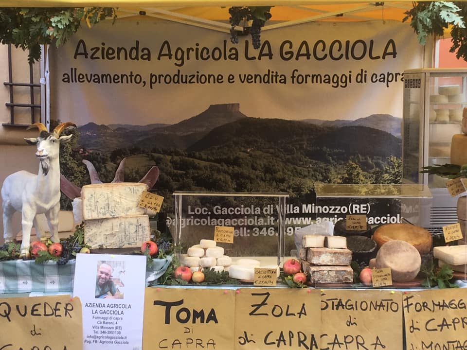 Fattoria Gacciola