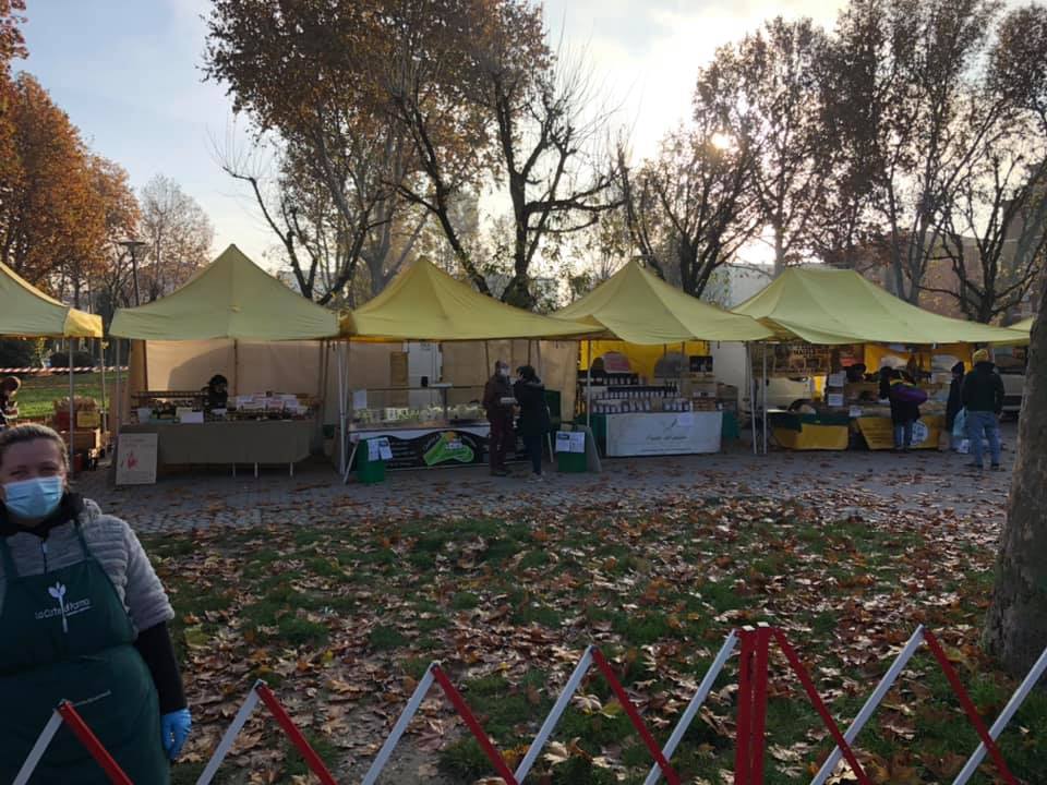 la-corte-lubiana