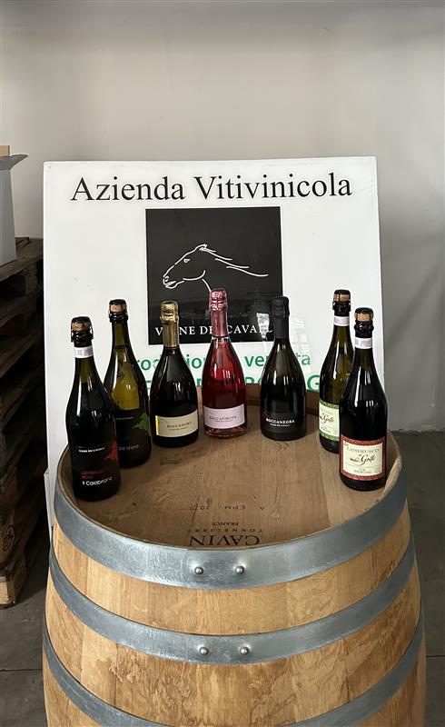 Azienda agricola Vigne dei Cavalli di Cavalli Maurizio