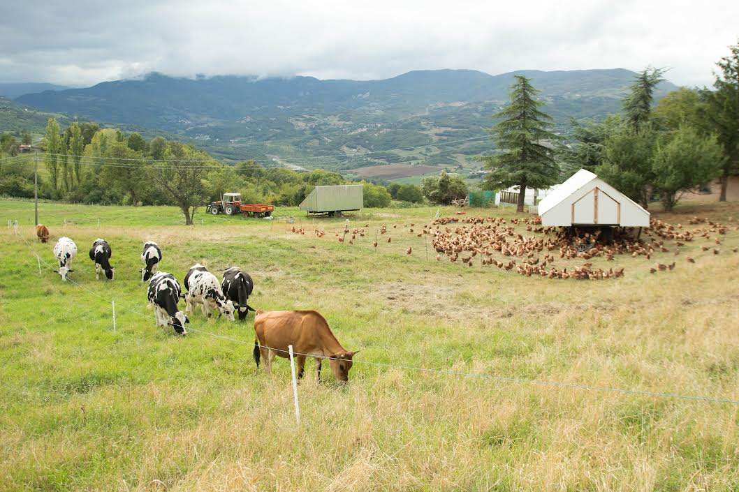 Azienda agricola La Malusa